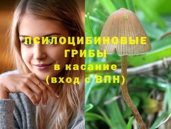 мяу мяу кристалл Бугульма