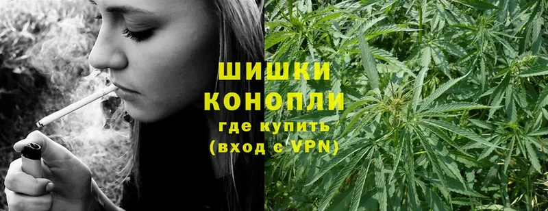 Каннабис OG Kush  Таштагол 